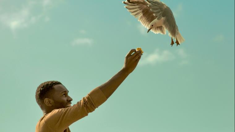 Man feeding bird