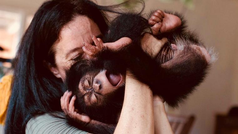 lady with chimp. 