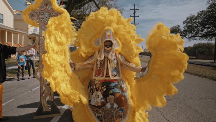 beautiful news mardi gras