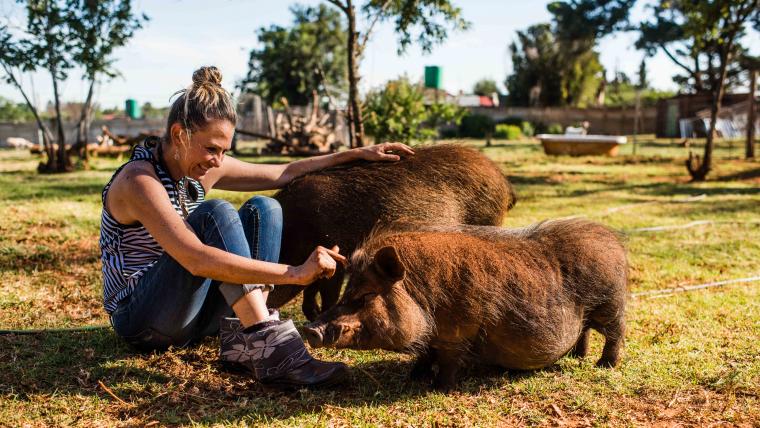 Woman with two pigs