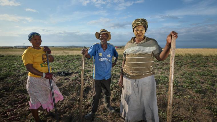 Farmers in a field. 