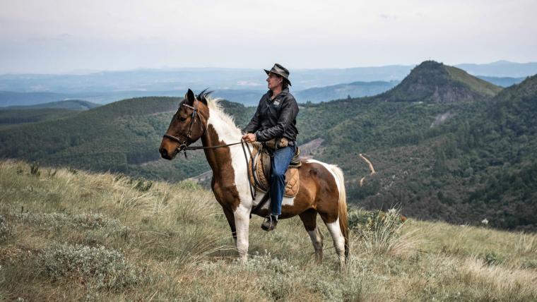 Man riding horses