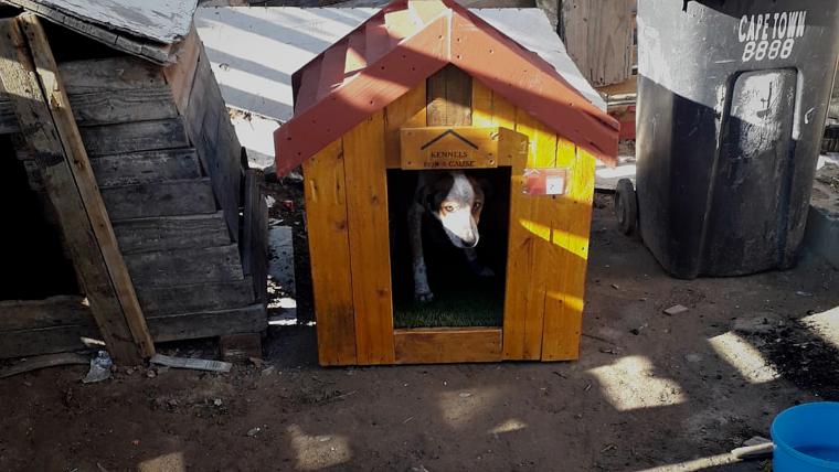 beautiful news homemade kennels