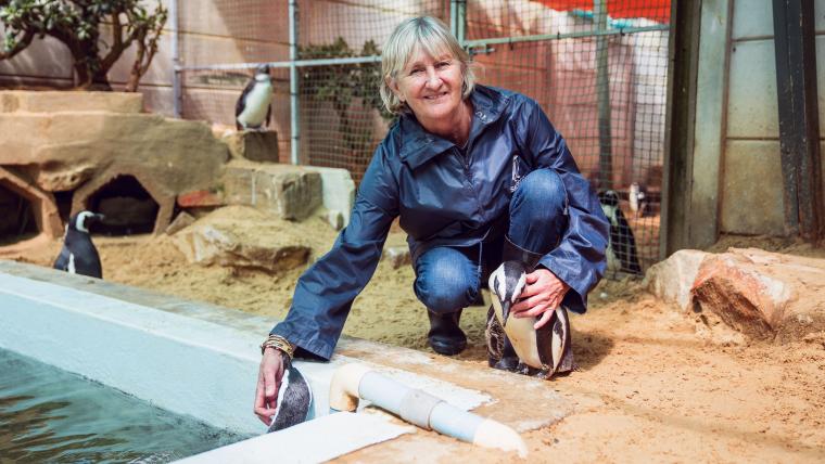 woman with penguins. 