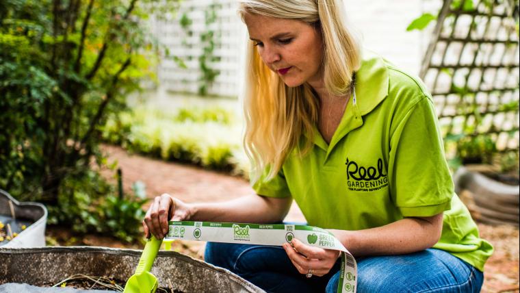 Lady busy with plants