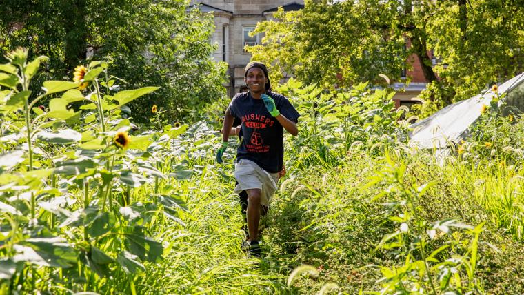 Beautiful News- Happy Youth in the gardens