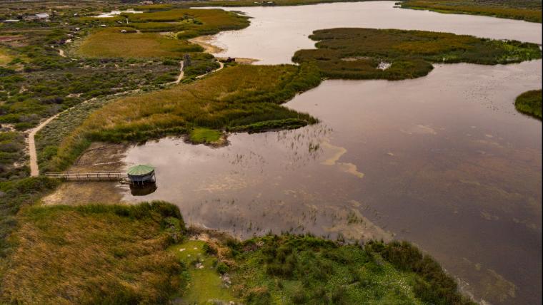 Rondevlei Nature Reserve