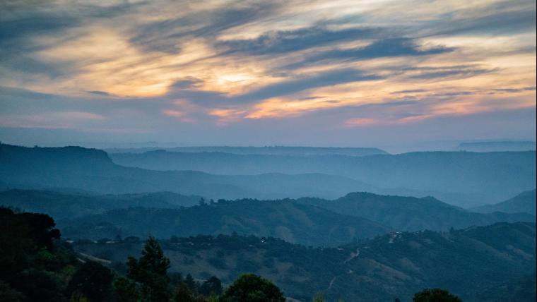 The photographer shifting focus, athletic coach recovery, and the valley of thousand hills.