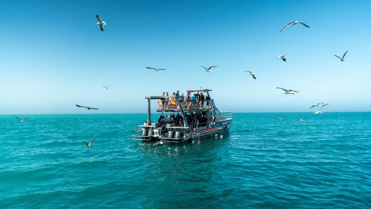 Boat in sea.