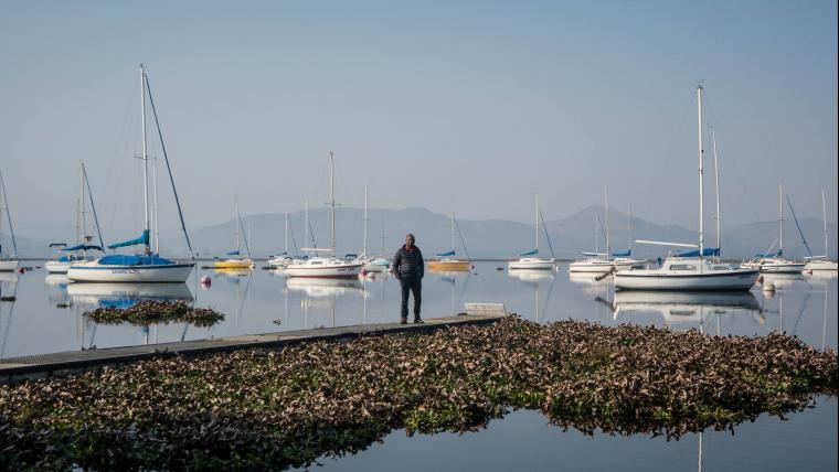 Man stands on a pier surrounded by boats