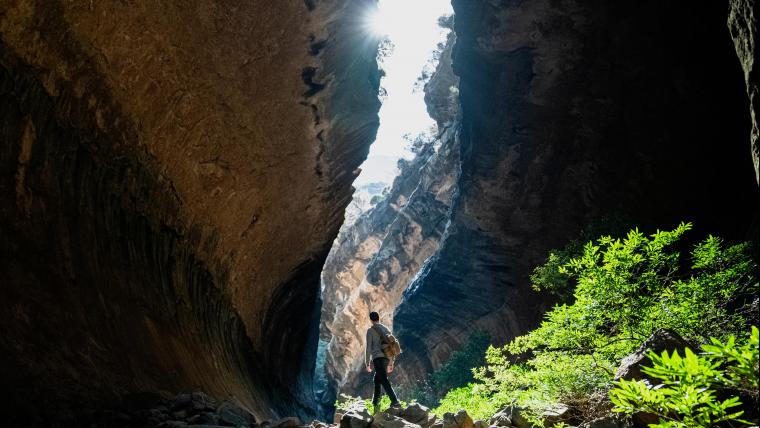 lush scenery encounter natural splendour that has no parallel.