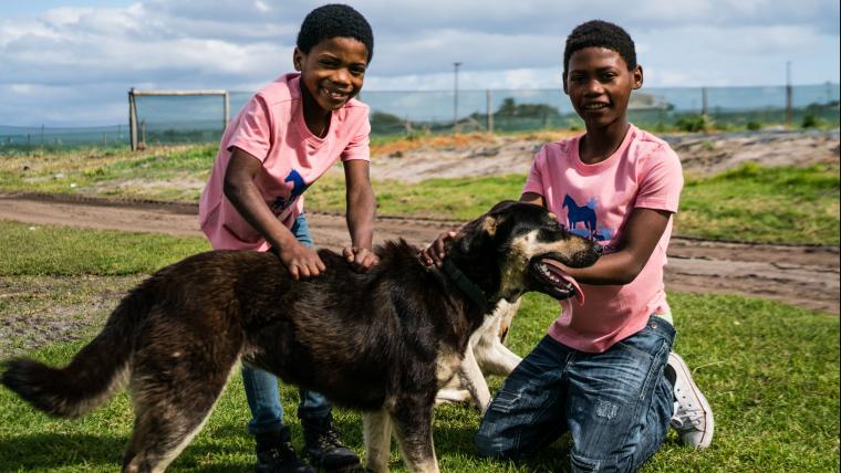 Walking 14 kilometres barefoot, with only the hope of saving a dog’s life