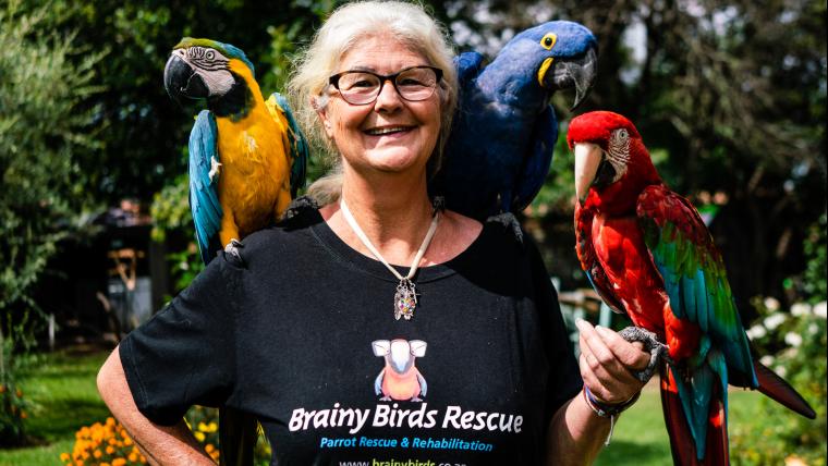 Meet the parrot rescuer giving hope to abused birds 