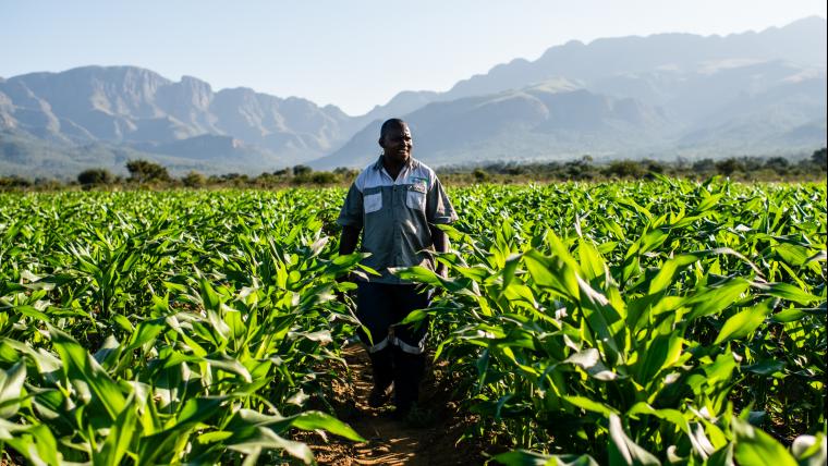 fighting hunger with farming.