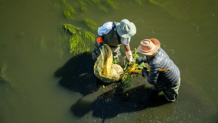 River cleanup