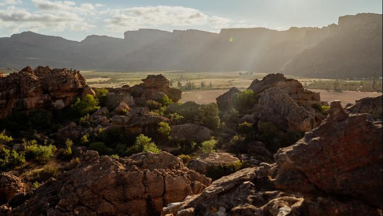 Explore the beauty of nature in Cederberg