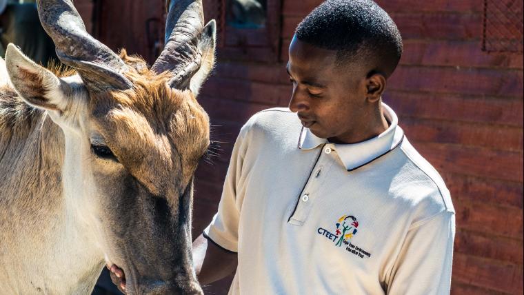 Man with a eland