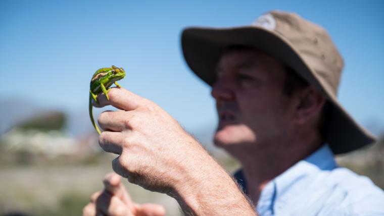 man holding chameleon