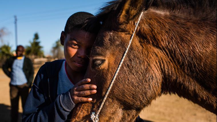 Black child smiling and embracing horse