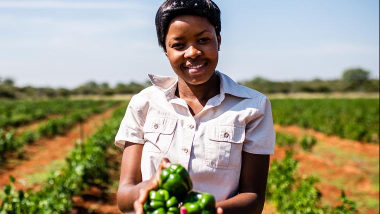 Accumulating an income and abundant harvest pushed Mahlatse.