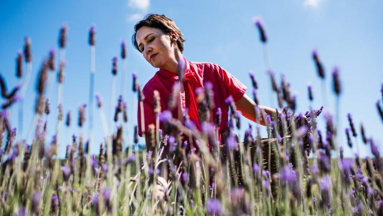 n a male-dominated world, this woman is taking on farming with lavender