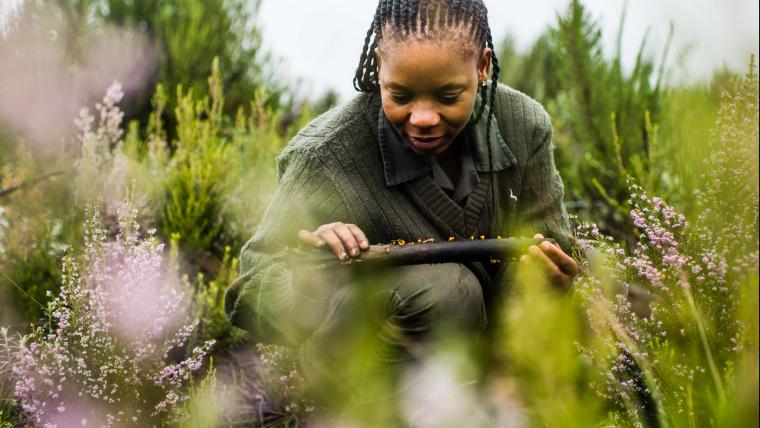 Woman examining plants