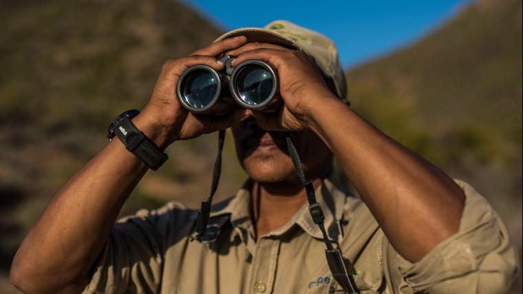 Ranger looking through binoculars