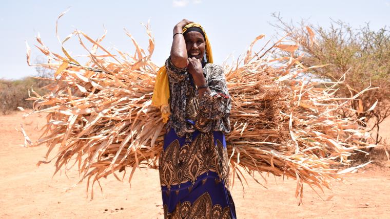 Beautiful News-Smiling woman carrying leaves in desert