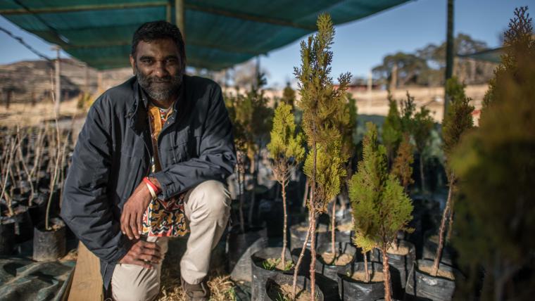 Indian man smiling between trees