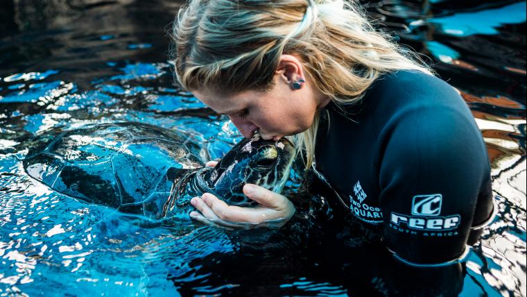Plastic is killing turtles from the inside out. This woman is giving them a second chance at life