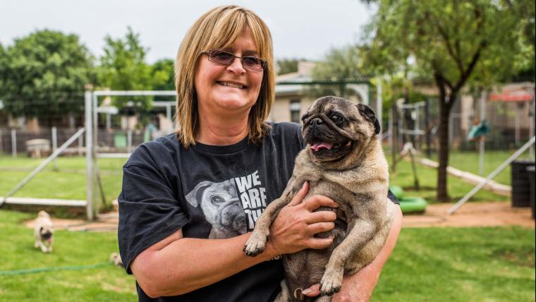 This woman is giving lost dogs a warm home