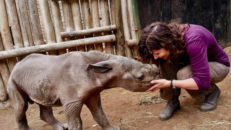 Beautiful News - Helena Kriel comforts a young rhino