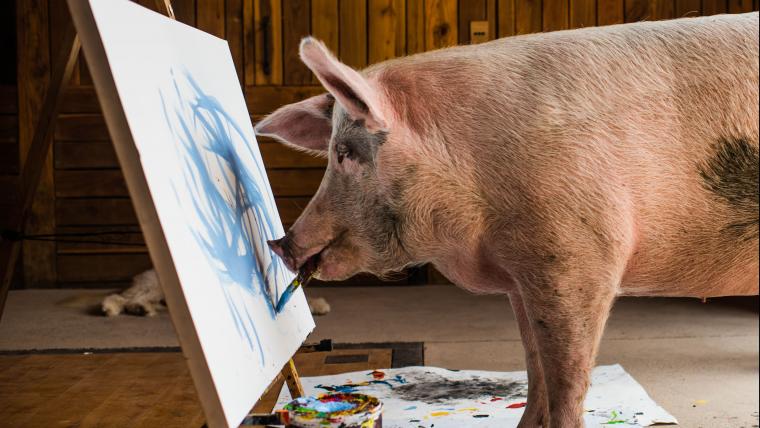 Pig painting