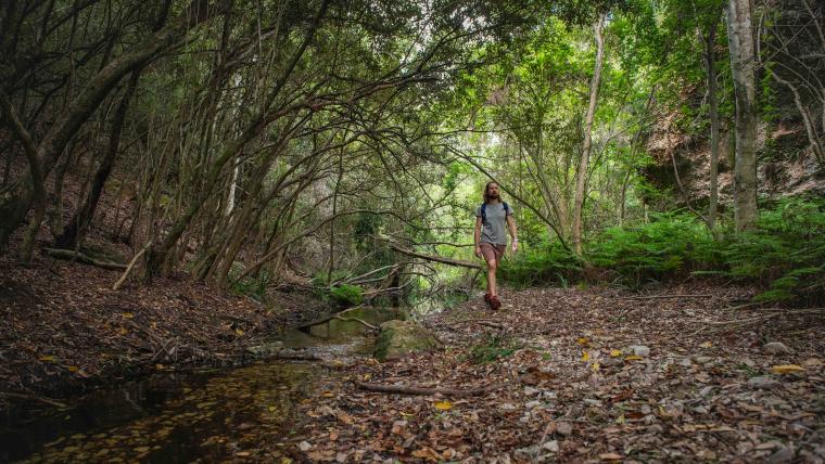 Man walking in the woods