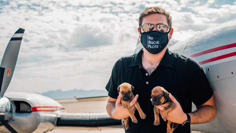 Beautiful News - Julian Javor of Pet Rescue Pilots holds two puppies alongside an aeroplane