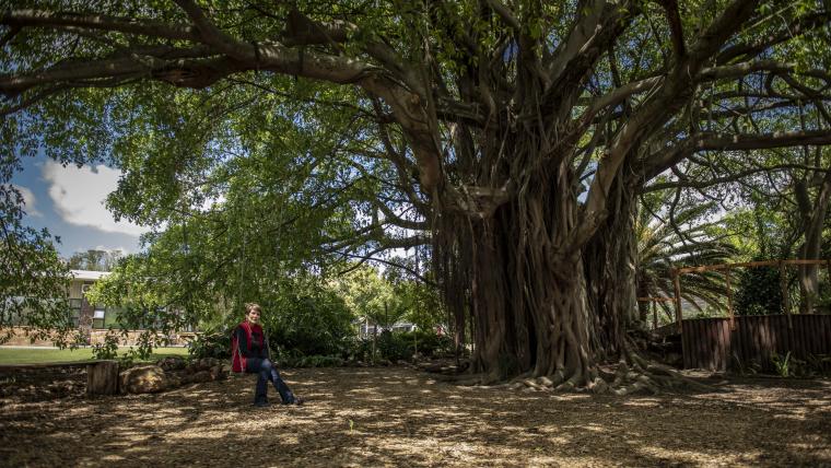 Woman sitting by a tree