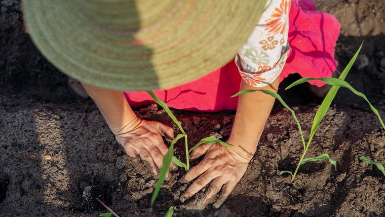 Meet Florida’s seed saver