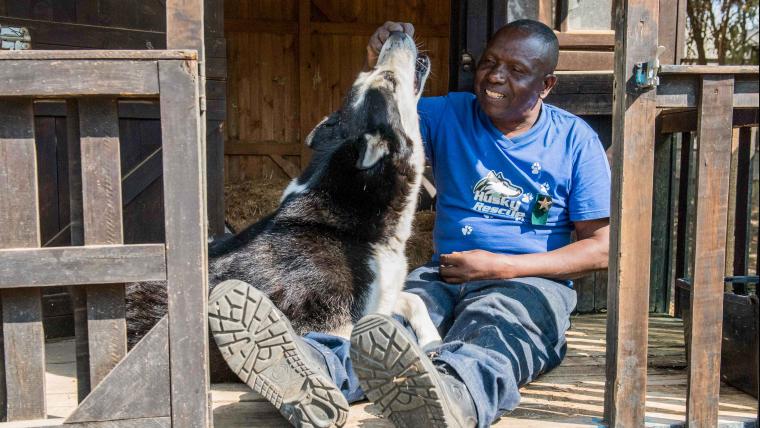 This man is finding a home for the huskies society left behind