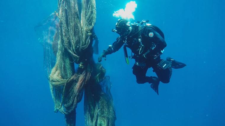 Beautiful News-Scuba diver inspecting nets