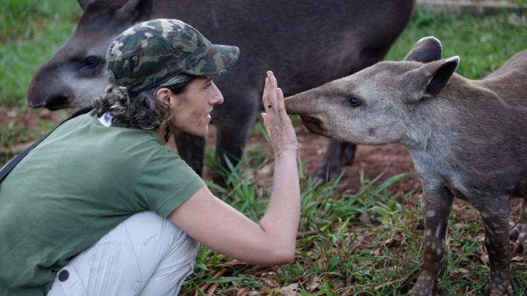 Beautiful News-Woman placing hand on Tapir's nose