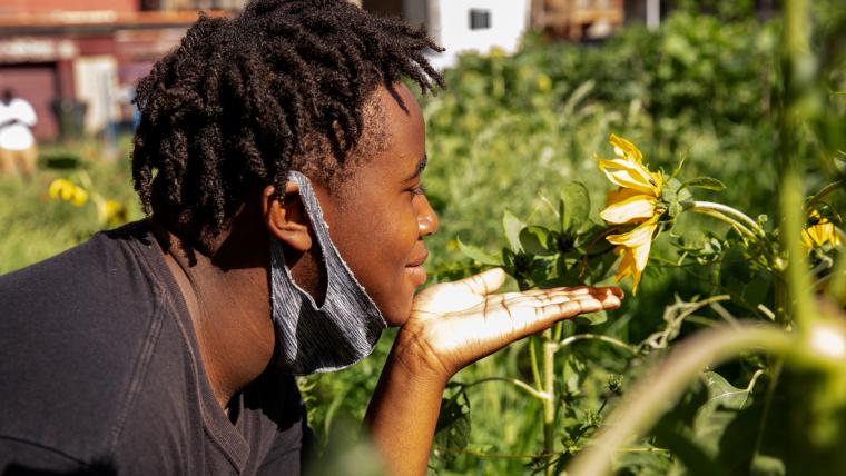 Beautiful News - Young person from Southside Blooms in Chicago looks admiringly at a sunflower