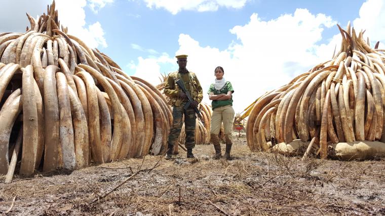 Beautiful News-Game rangers with illegal contraband. 