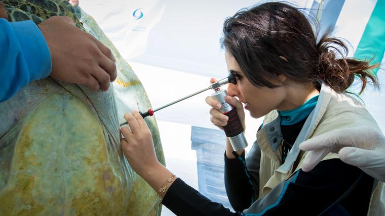 Beautiful News-Woman looking through medical visual aid.