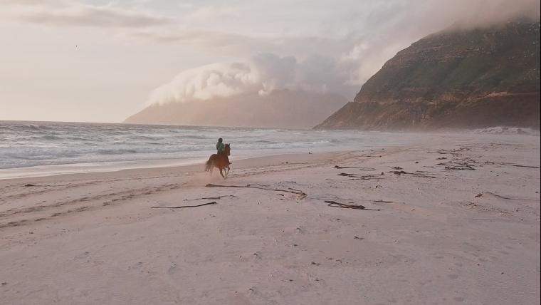 Man riding horse on beach