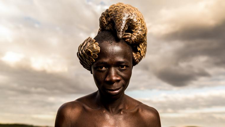 Man with a pangolin on his head