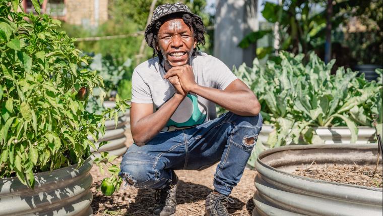 Gardener kneeling next to plants