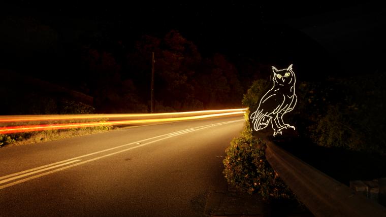 Beautiful News- Owl reflectors