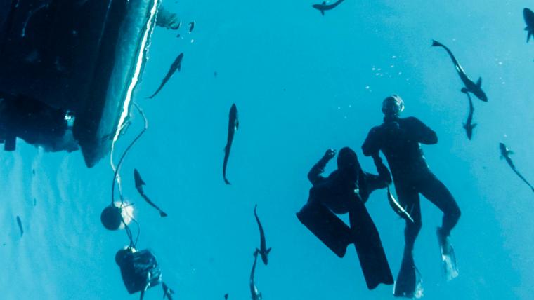 Two people diving in the sea surrounded by fish